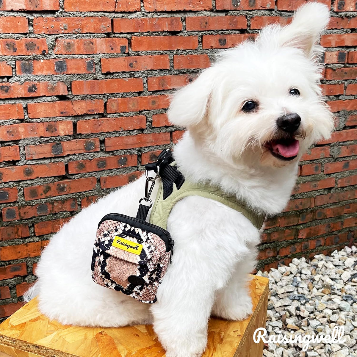 Dog Treat Pouch for Pet Walking and Training with Clicker Poop Bags and Double Bag Design Small