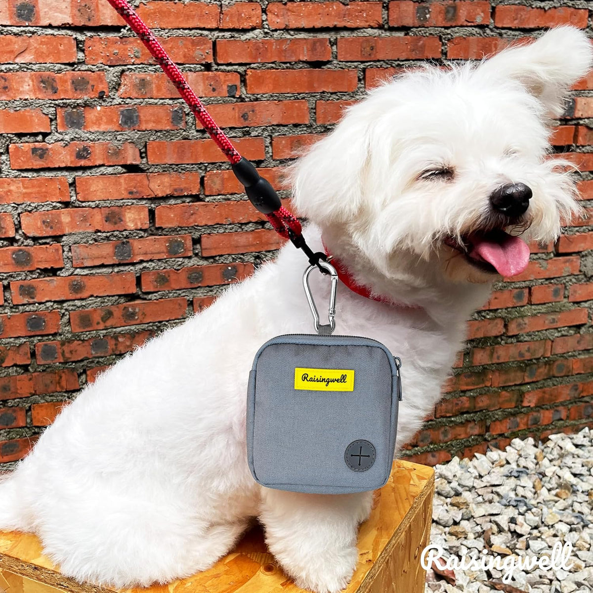 Dog Treat Pouch for Pet Walking and Training with Clicker Poop Bags Small Fanny Zipper Pack Holder