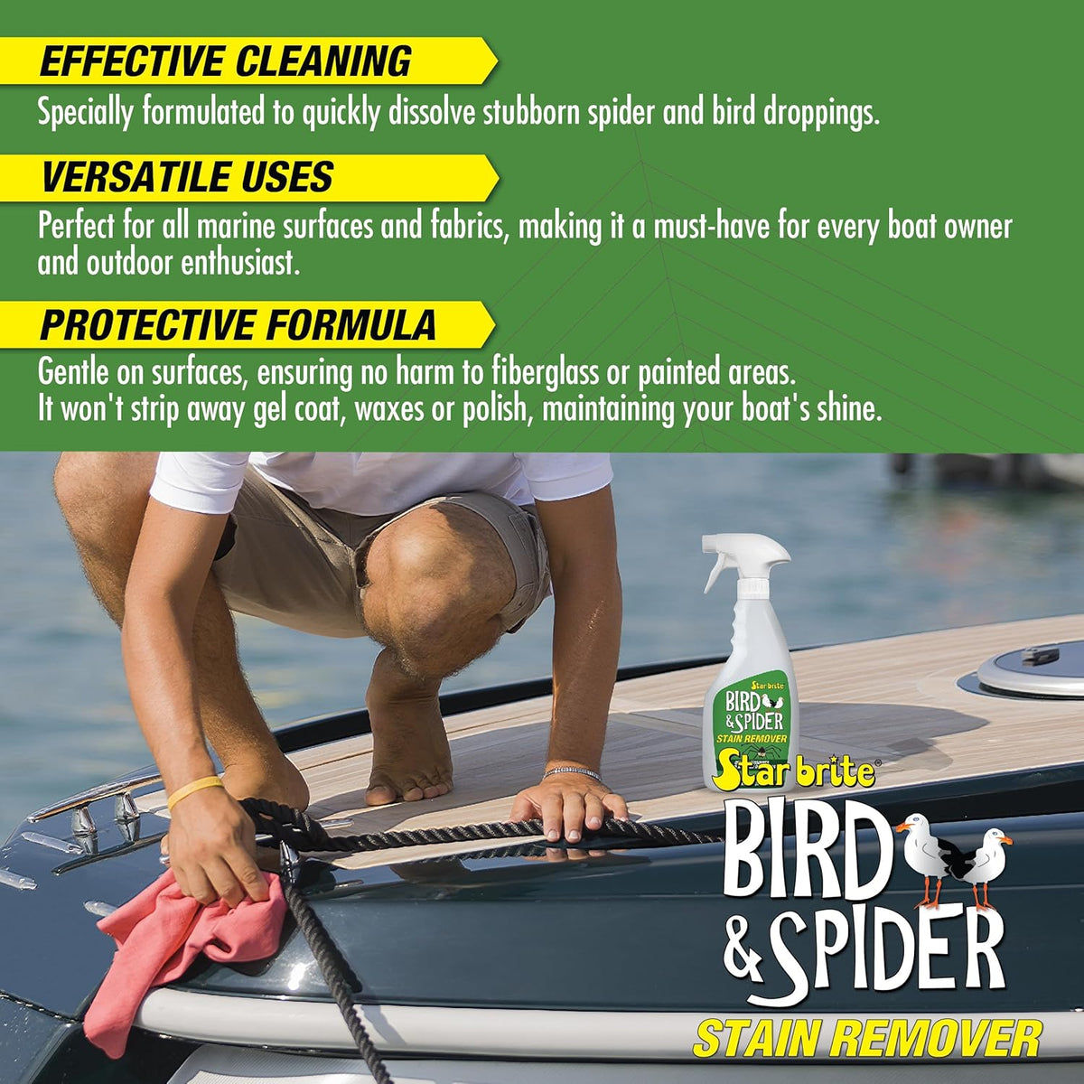 STAR BRITE Spider & Bird Stain Remover - 22 OZ (095122P)