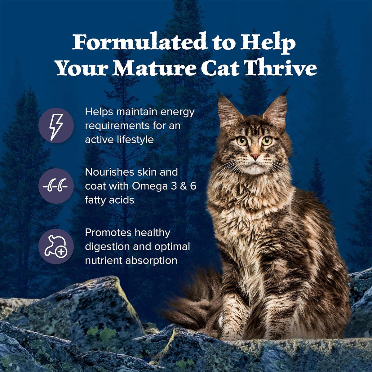 Blue Buffalo Wilderness Natural Mature Dry Cat Food for Cats 7+ Years, High-Protein and Grain-Free