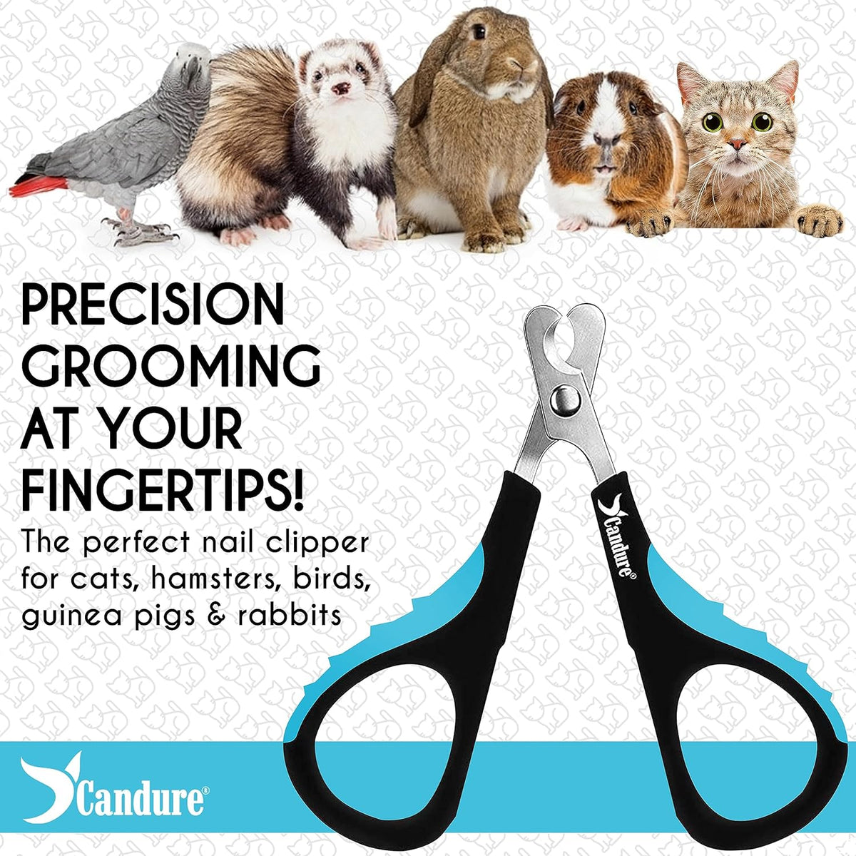 Candure Cat Nail Clipper Stainless Steel Cat Claw Trimmers for Rabbits, Guinea Pigs, Birds
