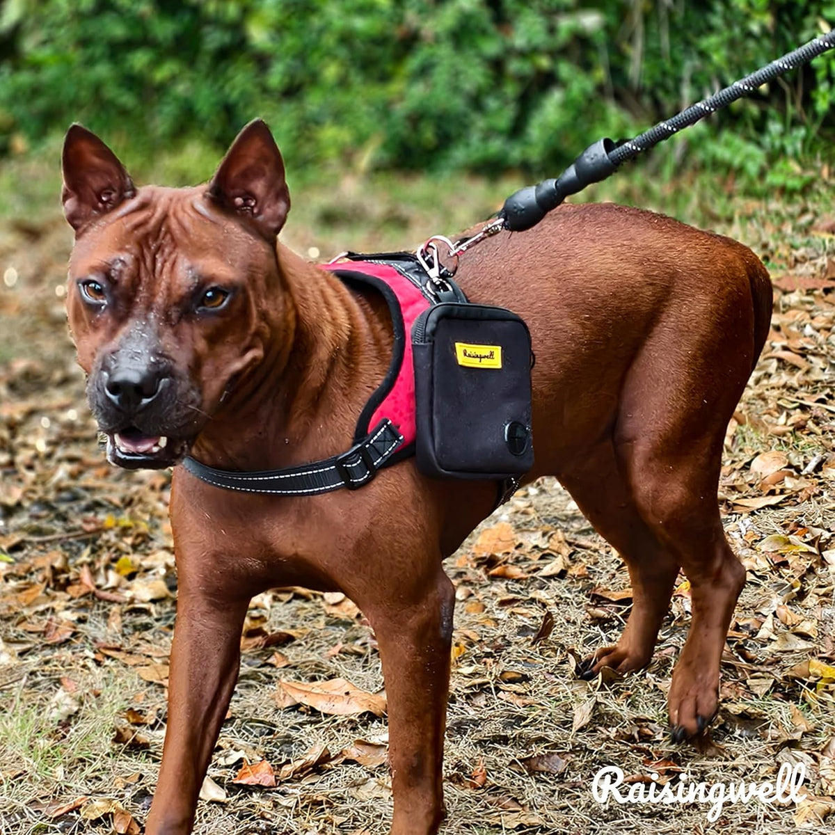 Dog Treat Pouch for Pet Walking and Training with Clicker Poop Bags Small Fanny Zipper Pack Holder