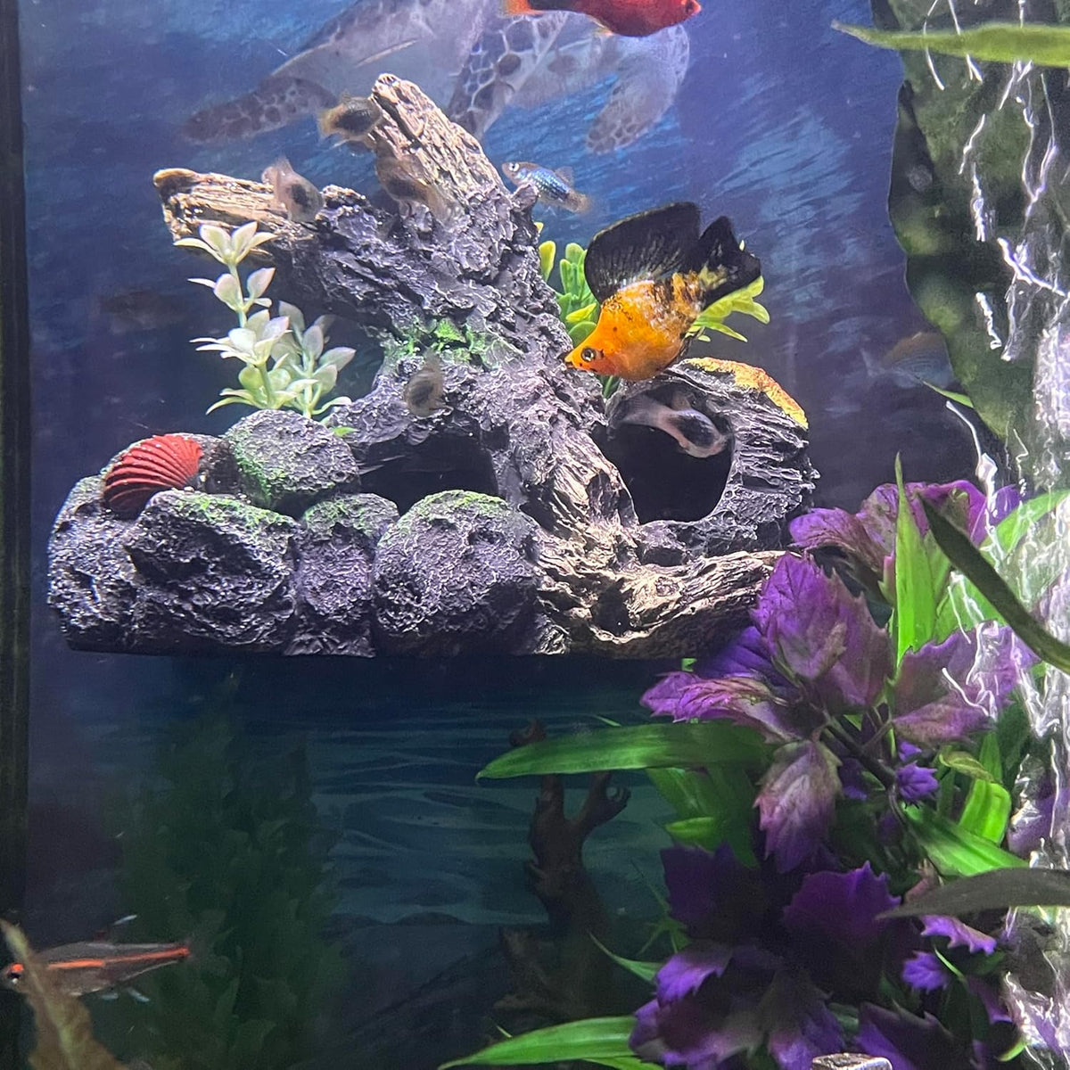 Aquarium Decor Magnetic Driftwood Outcropping Ornament – Wall-Mounted Fish Tank Decoration – Unique