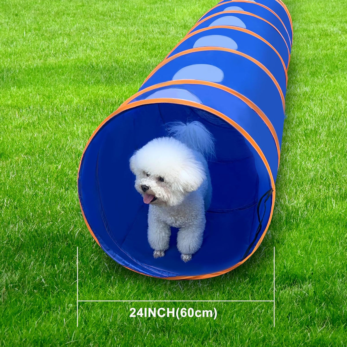 Dog Agility Tunnel with Ventilated mesh, Dog Agility Equipment, Dog Agility Training with Carry Bag