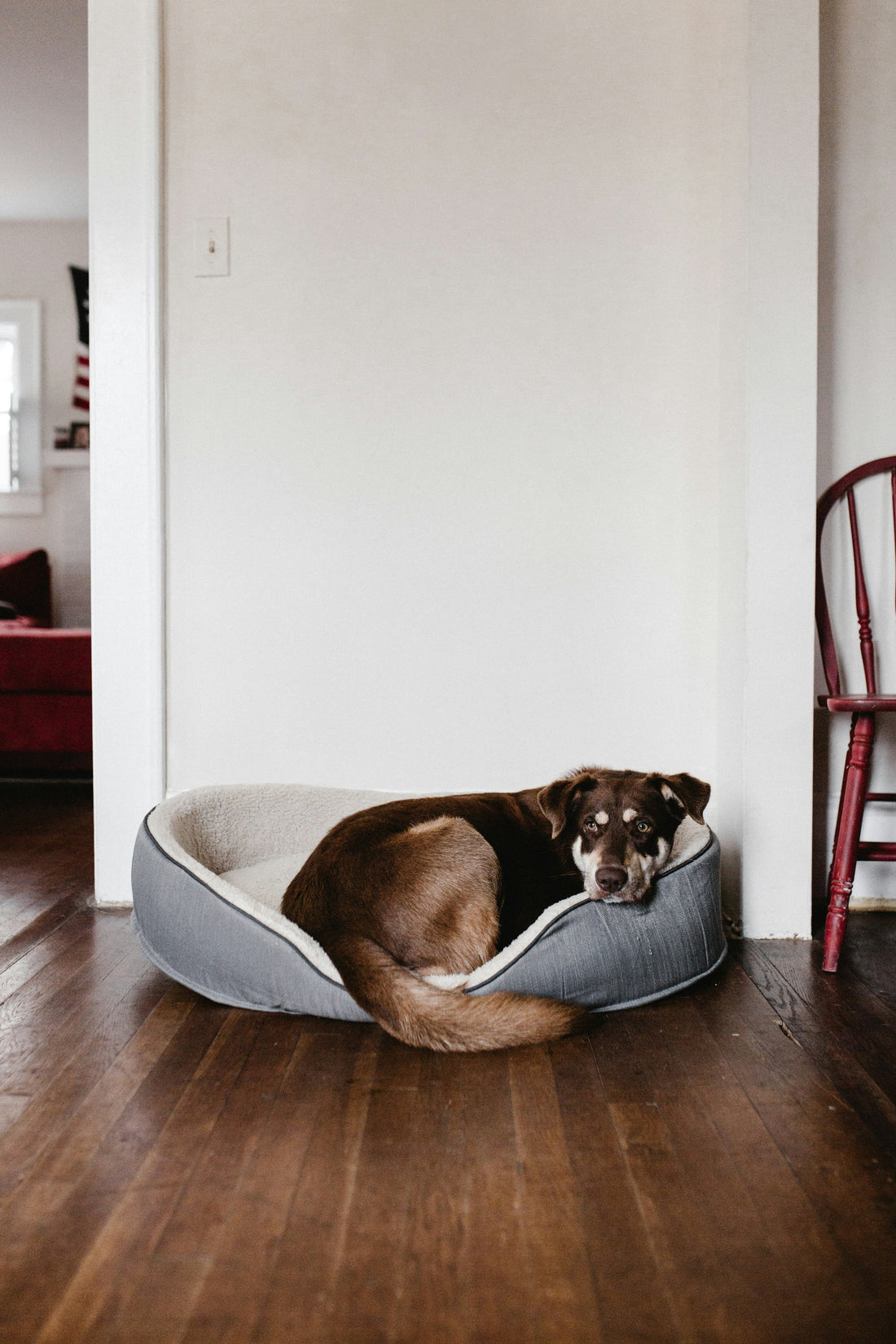 Why We Focus on Comfort-First Design at UrbanTails
