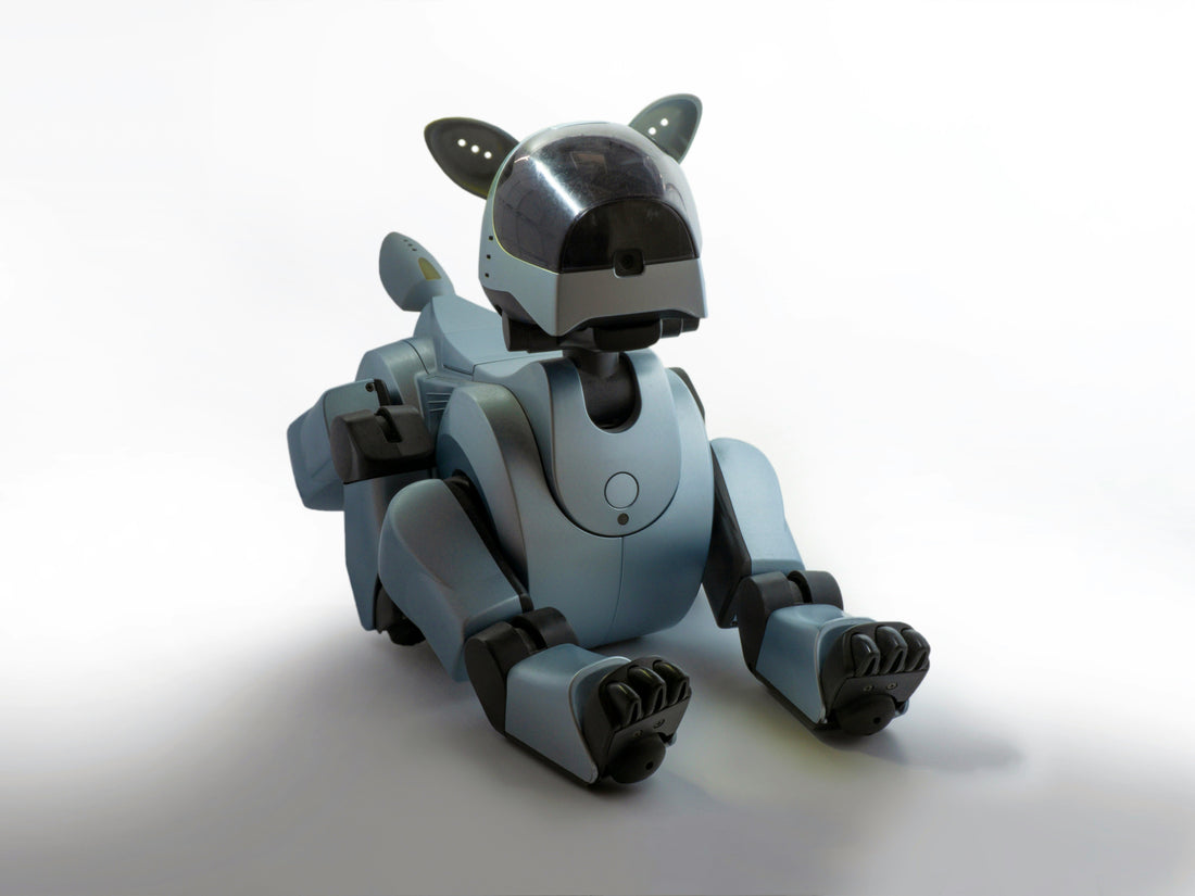 AI-Powered Pet Toys: The Next Level of Play 🤖🐶