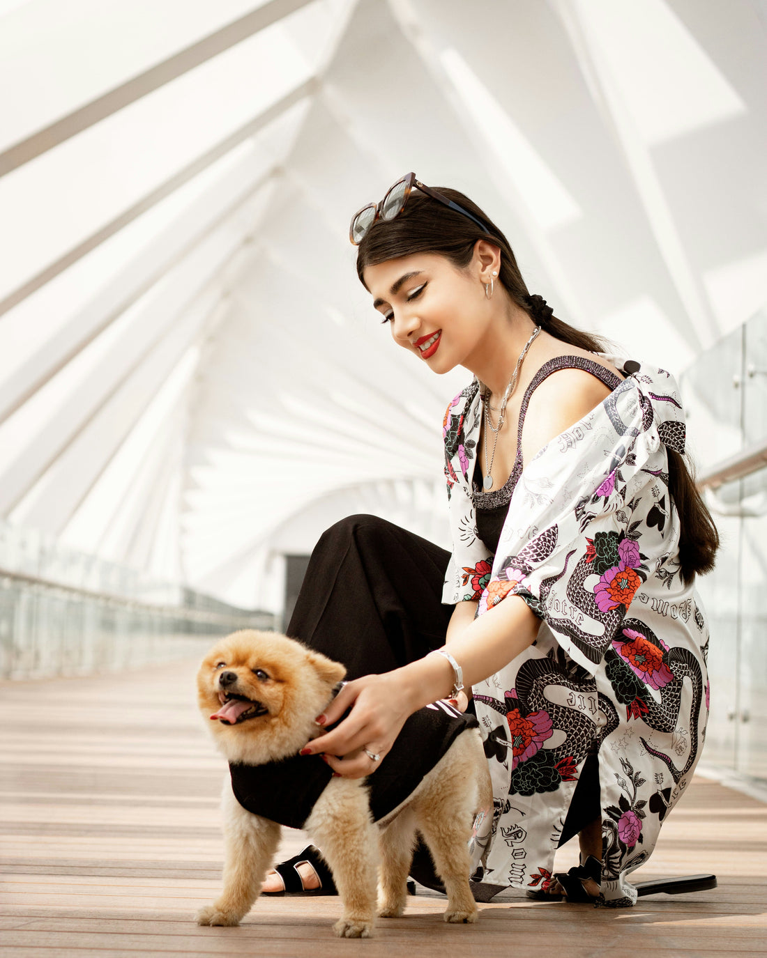 Spring Shedding Solutions Every Dog Owner Needs