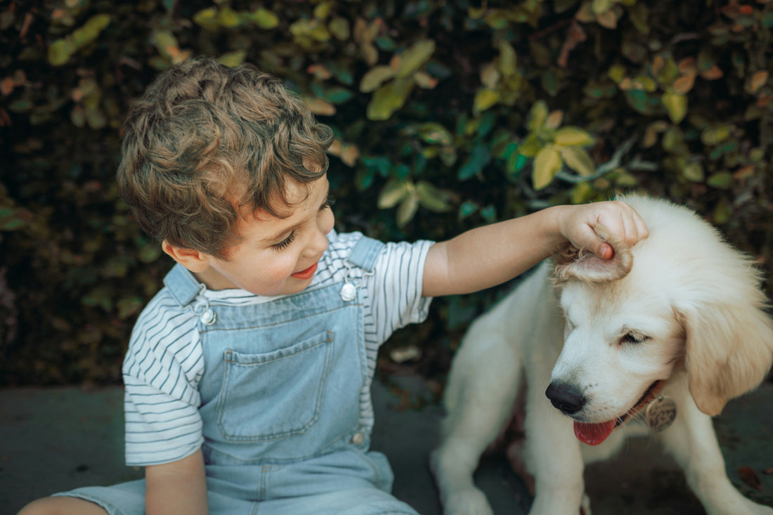 From Backyard to Backcountry: Expanding Your Dog’s World Safely