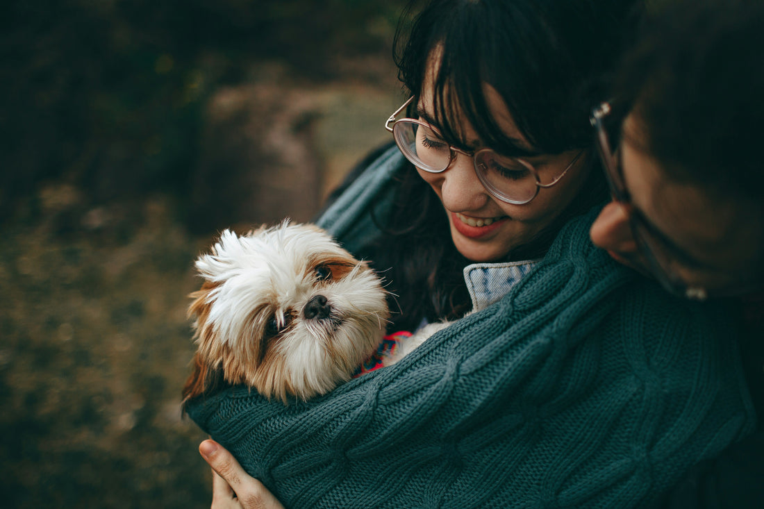 The Emotional Bond: Why Dogs Are More Family Than Ever