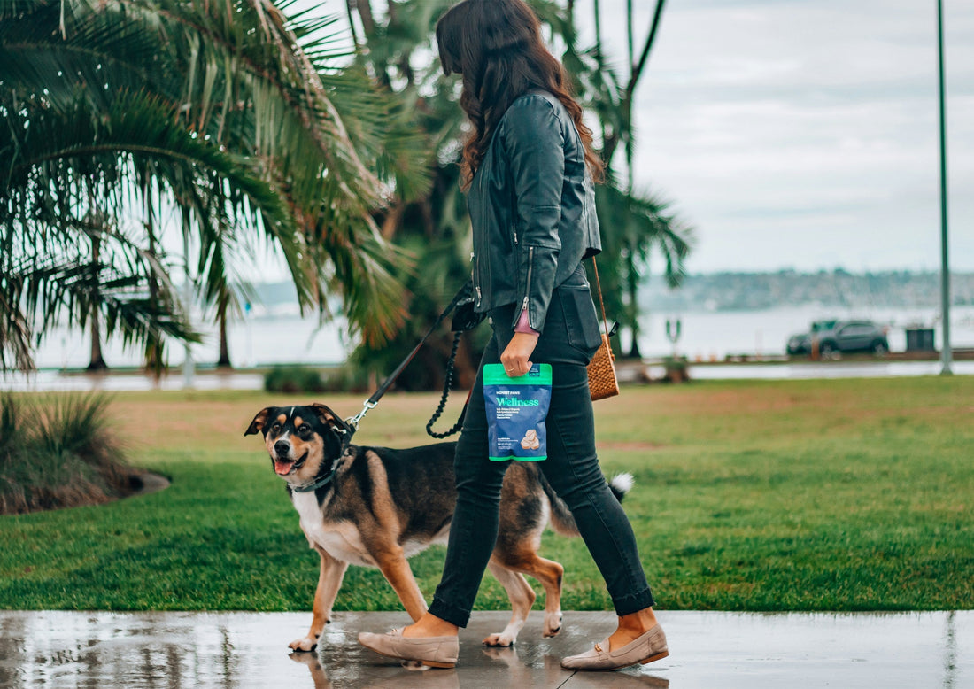 Eco-Friendly Poop Bags: Small Steps, Big Impact 🌍💩