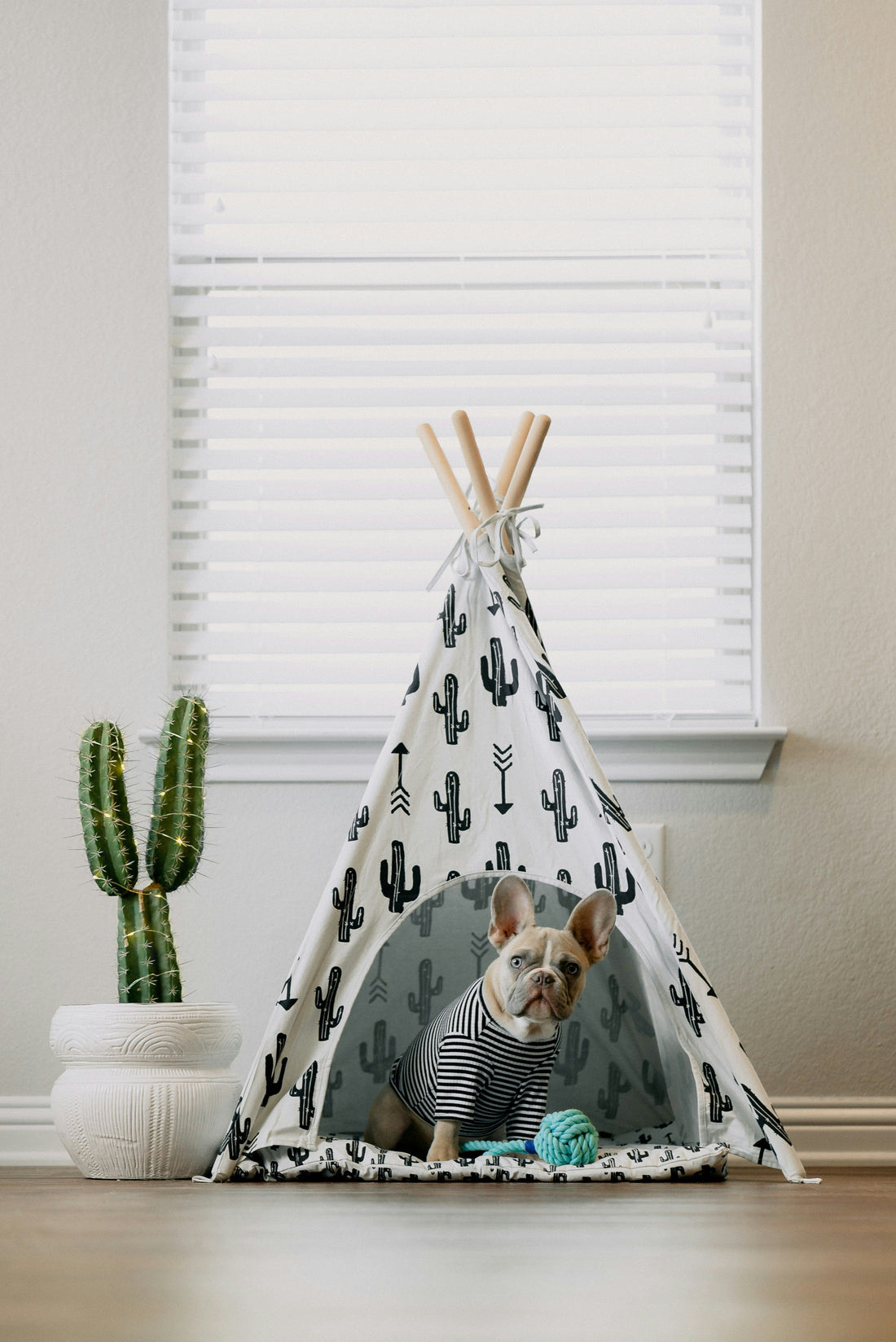 How to Keep Your Dog Hydrated Outdoors