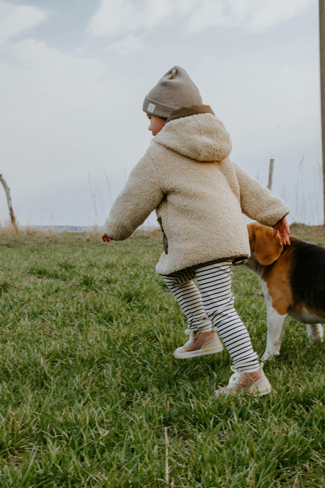 Minimalist Pet Parenting: Fewer, Better Essentials