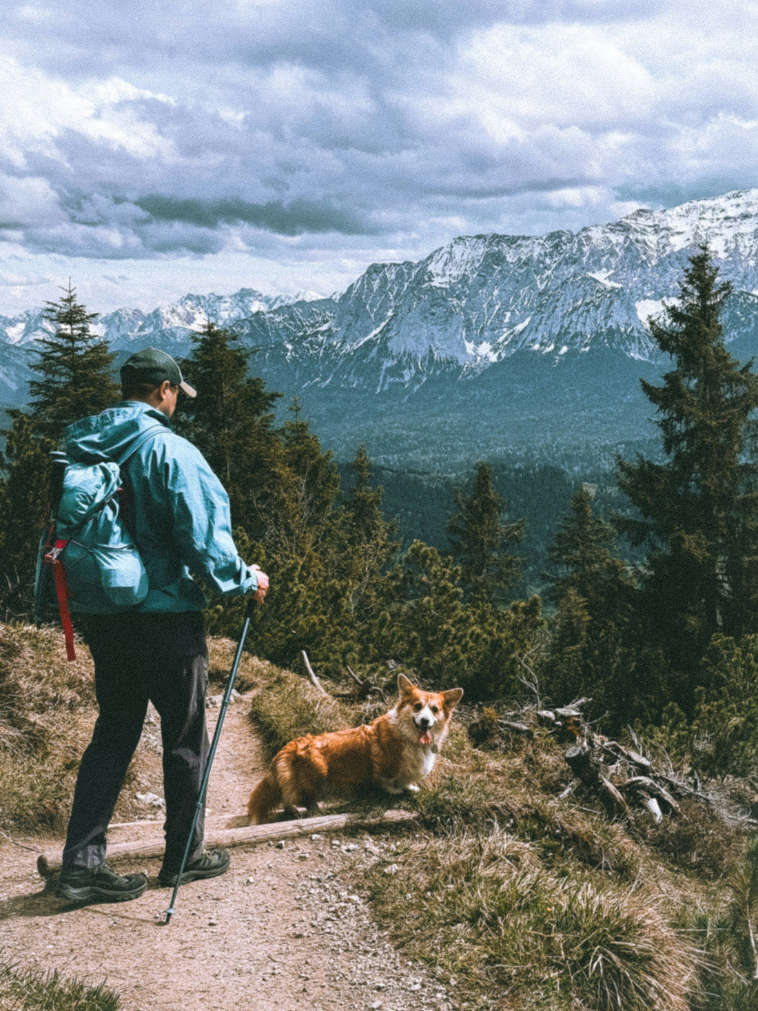Rain Snow or Shine: Weather-Smart Dog Gear