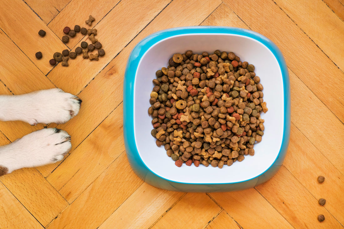 How Often Should You Replace Dog Toys?