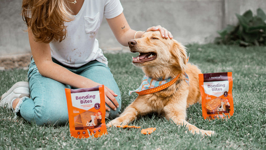 Top Protein-Rich Treats for Active Pets