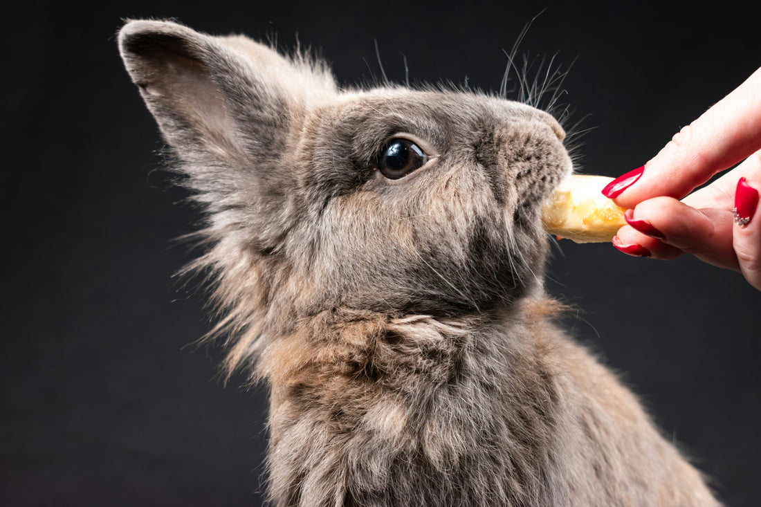 The Ultimate Pet Treat Checklist