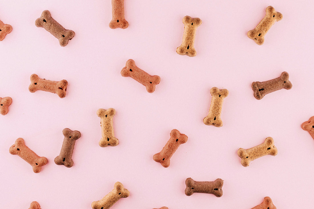 Why Healthy Treats Matter for Your Pet