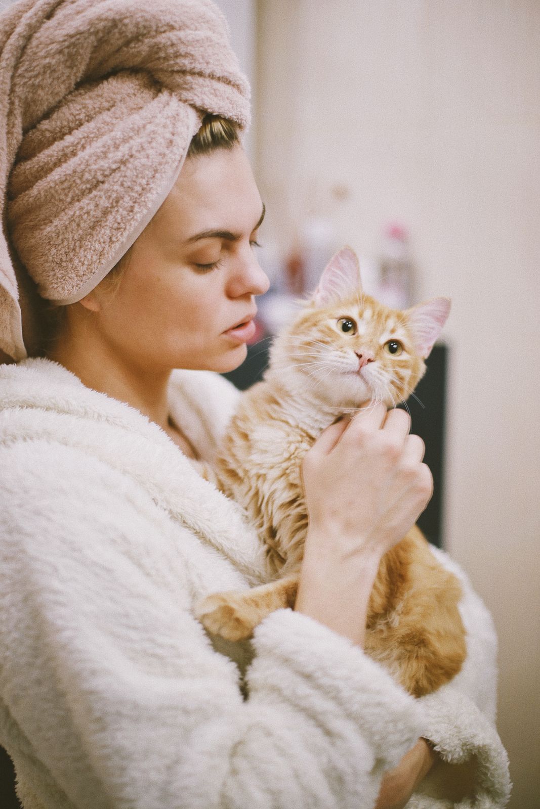Waterless Cat Shampoo: When Dry Cleaning Actually Works