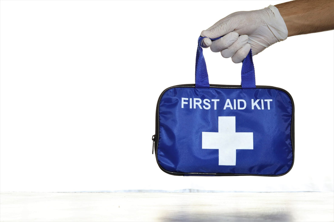 Pet First Aid Kit: What Belongs in a Home Kit vs a Travel Kit