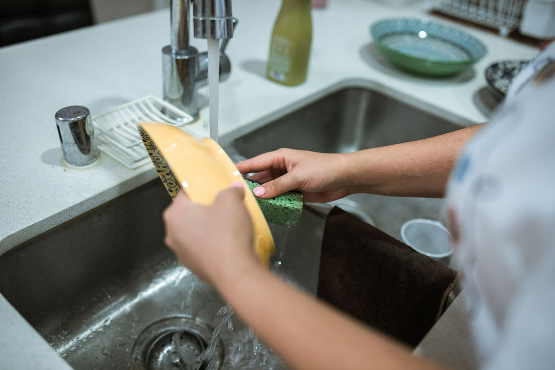 Water Fountain Filter Replacement: How Often You Actually Need to Change It
