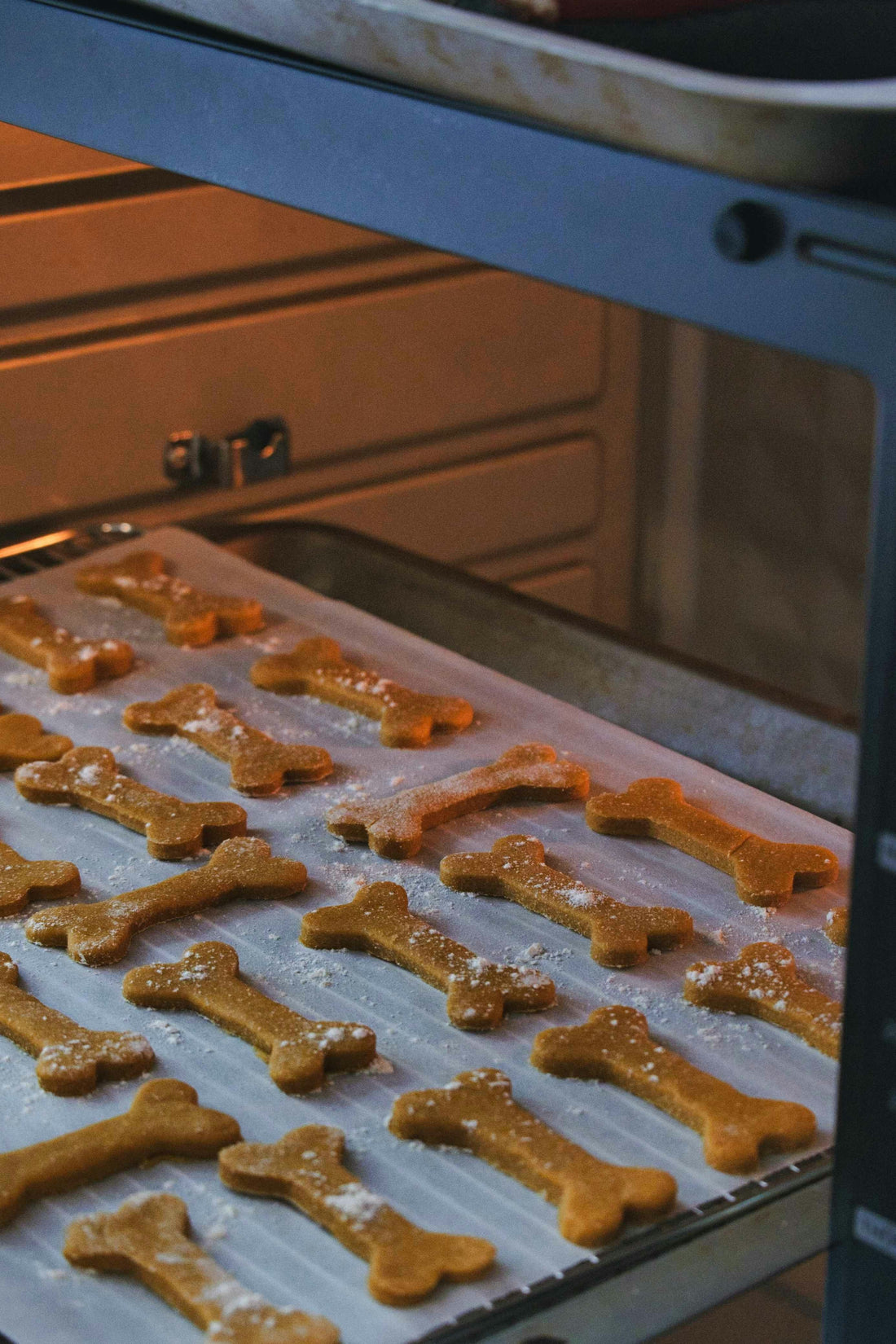 Multi-Purpose Treats for Training and Rewards
