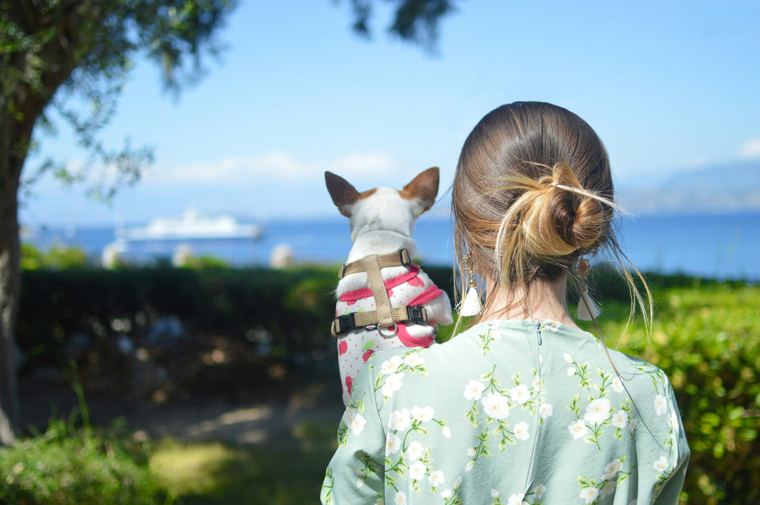 How Technology Is Changing the Way We Care for Our Dogs