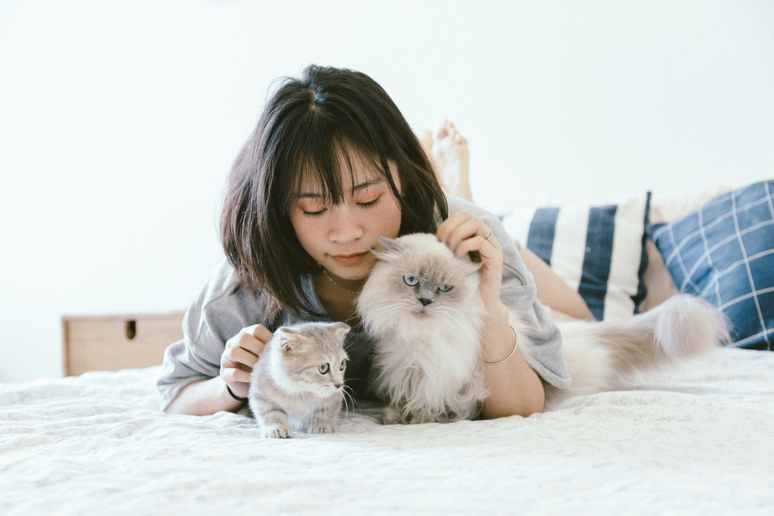 Dog Wellness Is the New Self-Care