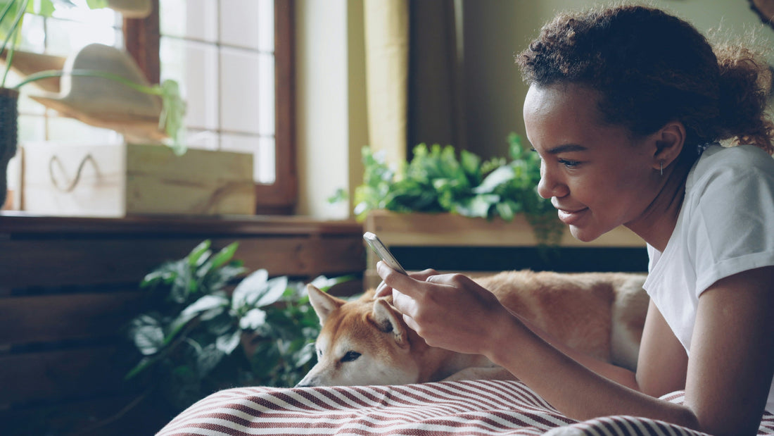 How to Make Vet Visits Less Stressful for Pets