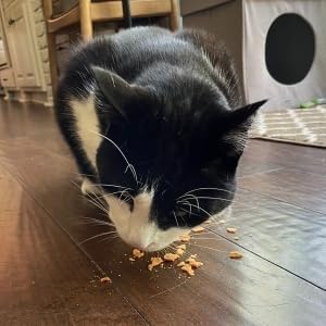 Farm To Pet - Cat Treat Crumbles - 3 oz Single Ingredient Turkey Cat Treats or Snacks - Healthy for
