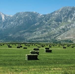 Blue Mountain Hay | Fresh Timothy Hay (5 Pounds) | Great for All Ages | High-Altitude Hay Pet Food