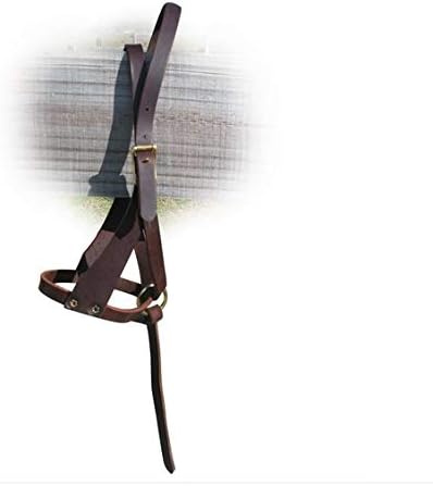 Leather Figure 8 Foal Halter | Newborn, Foal, Mini Pony Halter | Brown with Removable Grab Strap