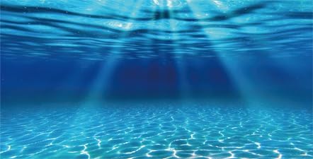 Natural Undersea Aquarium Background, Underwater Ocean Sunlight Fish Tank Background 36X18IN with 8