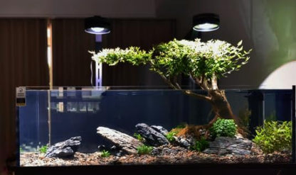 Natural Rocks Seiryu Stones Aquariums Stones for Aquascaping, Aquariums, Terrariums, Vivariums