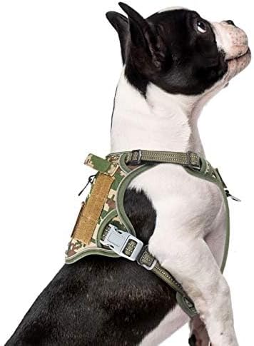 BUMBIN Tactical Dog Harness for Small Dogs No Pull, Famous TIK Tok No Pull Puppy Harness, Fit Smart