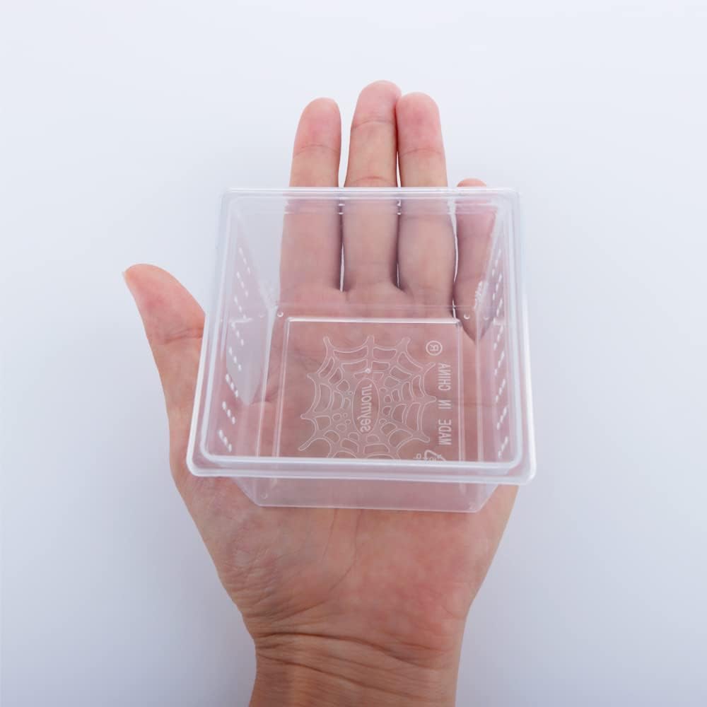 10 Pcs Insect Spider Terrariums Breeding Box Hatching Container Small Reptile Scorpion Centipede