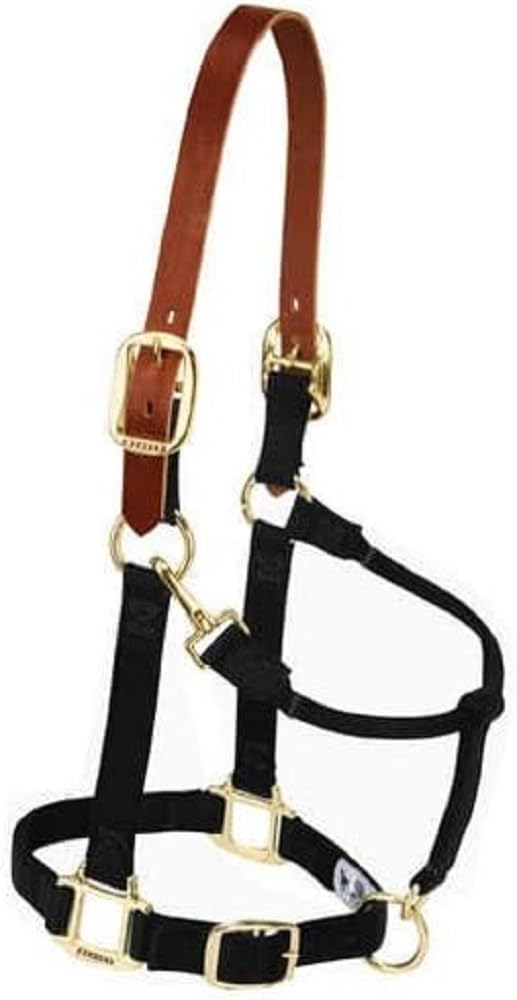Weaver Equine Nylon Horse Halter, Triple-Ply Cheek Design, Original Non Adjustable Halters for