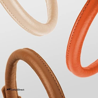 CollarDirect Rolled Leather Dog Collar, Soft Padded Round Puppy Collar, Handmade Genuine Leather