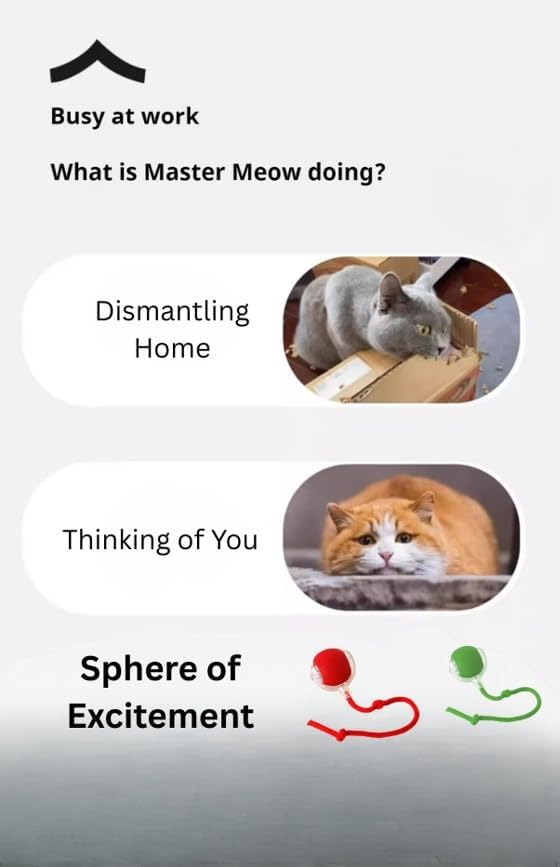 Indoor Cat Interactive Toy 360-degree Automatic Rolling Toy with Floor Flashing and Random Rolling