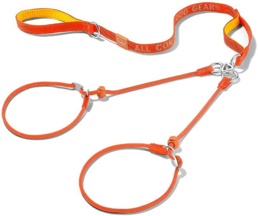 Howgo Double Slip Leash Slip Lead with Two Handles| Dual Dog Slip Lead for 2 Dogs,360° Swivel No