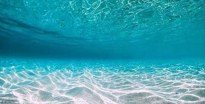 72X18IN Natural Undersea Aquarium Background, Undersea Beach Fish Tank Background, with 8 EVA
