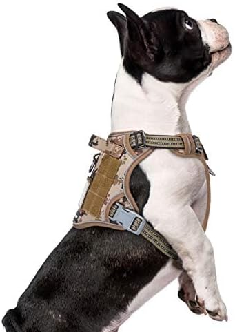BUMBIN Tactical Dog Harness for Small Dogs No Pull, Famous TIK Tok No Pull Puppy Harness, Fit Smart