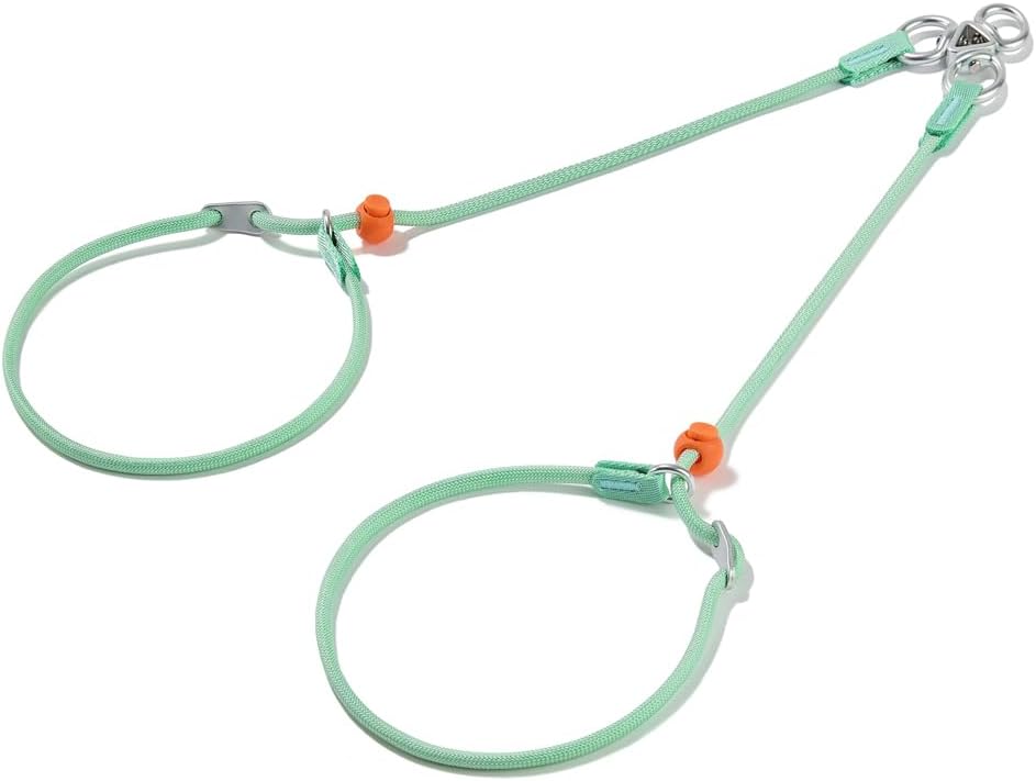Howgo Double Slip Leash Slip Lead | Dual Dog Lead for 2 Dogs,360° Swivel No Tangle | Dog Training