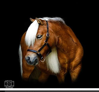 Leather Mini or Suckling Foal Size Horse Halter | Brown Leather with Solid Brass Hardware |