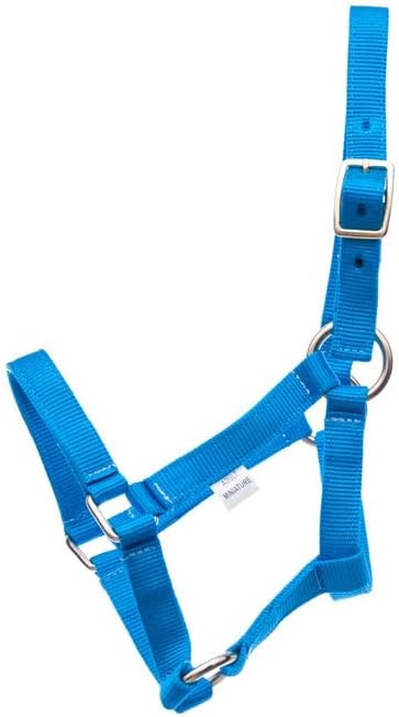 Jeffers Equine Mini Horse Halter – 3/4" Nylon Adjustable Halter for Miniature Horses, Ponies, Under