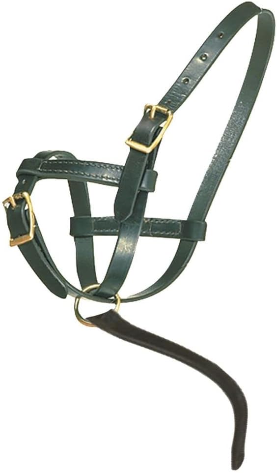Schneiders Premier Leather Foal Halter for Horses - Newborn | Double Stitched Harness Leather |