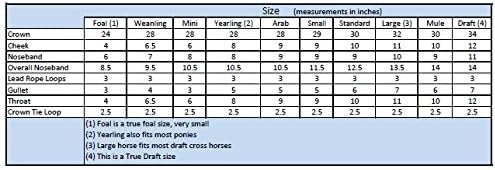 Horse Rope Training Halter - 4 Knot 1/4" Stiff Halter Cord - Used by Famous Trainers Multiple Sizes