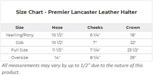 Dura-Tech Premier Lancaster Leather Halter for Horses | Simple Economy Leather Halter with