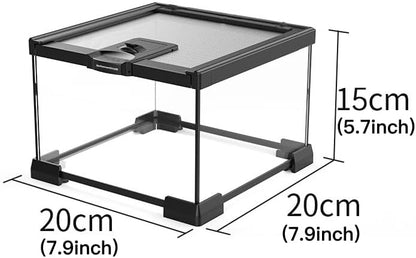 Mini Reptile Glass Terrarium Tank, cage for Tarantula Sling Geckos, Frog, Lizards