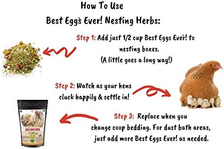Pampered Chicken Mama Best Eggs Ever! Nesting Herbs for Chickens (4 Pounds) Calcium Supplement for