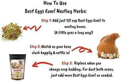 Pampered Chicken Mama Best Eggs Ever! Nesting Herbs for Chickens (4 Pounds) Calcium Supplement for